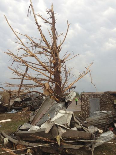 A shredded tree stands amid debris after a massive tornado touched down in the town of Moore, near Oklahoma City, Oklahoma May 20, 2013. A huge tornado with winds of up to 200 miles per hour (320 kph) tore through the Oklahoma City suburb of Moore on Monday, ripping up at least two schools and leaving a wake of tangled wreckage as a dangerous storm system threatened as many as 10 U.S. states. REUTERS/Richard Rowe (UNITED STATES – Tags: DISASTER ENVIRONMENT)