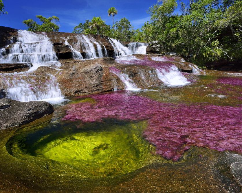 A waterfall is seen at the end of the rainy season in August, when the water level finally decreases on the Cano Cristales river in Colombia. The water becomes covered with a bright pink aquatic plant, Macarenia Clavigera. (Photograph by Olivier Grunewald)